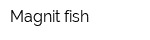 Magnit fish