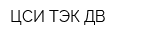 ЦСИ ТЭК ДВ
