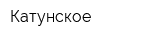 Катунское