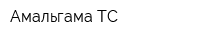 Амальгама ТС