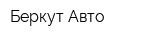 Беркут Авто
