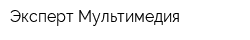 Эксперт Мультимедия