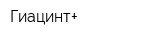 Гиацинт+
