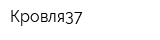 Кровля37