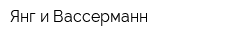 Янг и Вассерманн