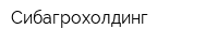 Сибагрохолдинг