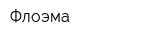 Флоэма