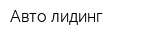 Авто лидинг