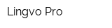 Lingvo Pro