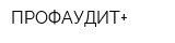 ПРОФАУДИТ+