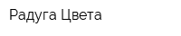 Радуга Цвета