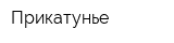 Прикатунье