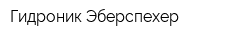 Гидроник Эберспехер