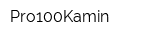 Pro100Kamin