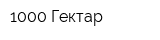 1000 Гектар