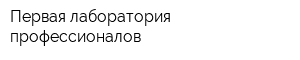 Первая лаборатория профессионалов