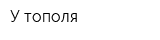 У тополя
