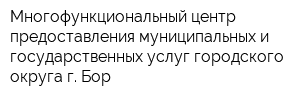 Многофункциональный центр предоставления муниципальных и государственных услуг городского округа г Бор