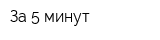 За 5 минут