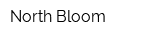 North Bloom