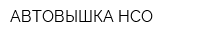 АВТОВЫШКА-НСО