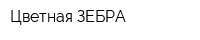 Цветная ЗЕБРА