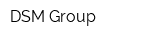 DSM Group