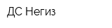 ДС Негиз