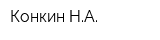 Конкин НА