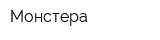 Монстера