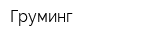 Груминг