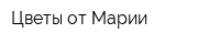 Цветы от Марии