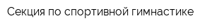 Секция по спортивной гимнастике