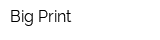 Big Print