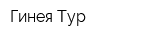 Гинея-Тур