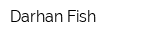 Darhan Fish