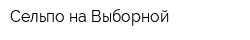 Сельпо на Выборной