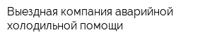 Выездная компания аварийной холодильной помощи