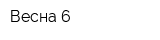 Весна 6