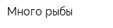 Много рыбы