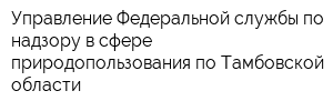 Управление Федеральной службы по надзору в сфере природопользования по Тамбовской области