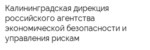 Калининградская дирекция российского агентства экономической безопасности и управления рискам