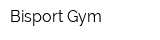Bisport Gym