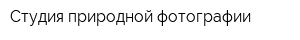 Студия природной фотографии