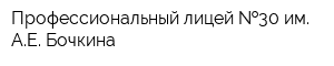 Профессиональный лицей  30 им АЕ Бочкина