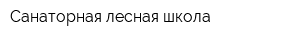 Санаторная лесная школа