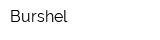 Burshel