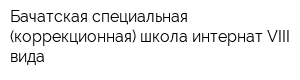 Бачатская специальная (коррекционная) школа-интернат VIII вида