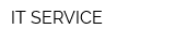 IT-SERVICE