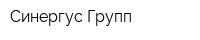 Синергус Групп